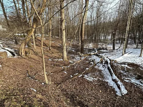 0 Crestrose Dr, Howard, OH 43028