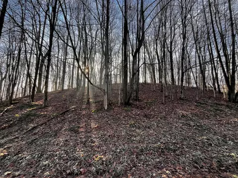 691 Crestrose Dr, Howard, OH 43028