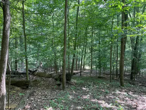 0 Bearclaw Ct SE, Sugar Grove, OH 43155