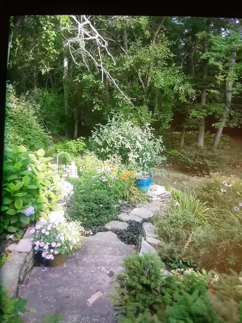 Exterior - 1244 Lancaster Pike, Circleville, OH 43113 photo 6 of 16