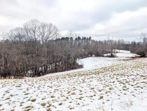 0 Township Road 233 #TRACT 12, Summerfield, OH 43788
