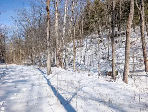 0 Brown Peavine Rd #TRACT 17, Barnesville, OH 43713
