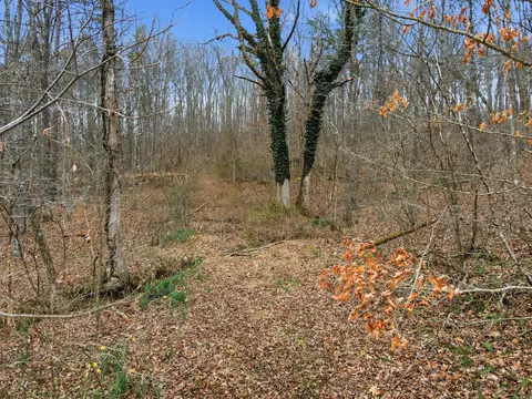 34178 Kelly Rd, Ray, OH 45672 photo 22