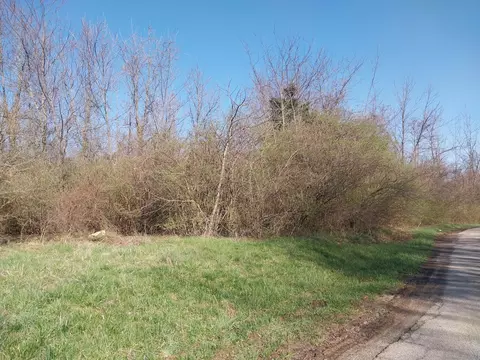 0 Briggs Rd, Greenfield, OH 45123