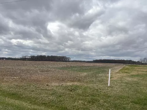 0 Marsh Rd, Ostrander, OH 43061 photo 3