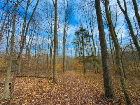 0 Long Fork Rd, Piketon, OH 45661