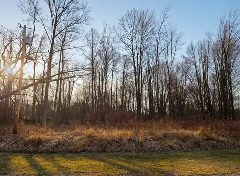 7326 State Route 19 #LOT 310, Mount Gilead, OH 43338