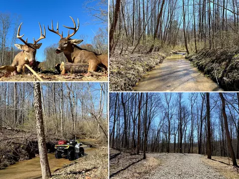 0 Dutch Ridge Rd #(WOODS TUR RUN TRACT 5), New Lexington, OH 43764