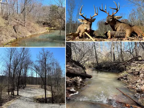0 Dutch Ridge Rd #(WOODS TUR RUN TRACT 6), New Lexington, OH 43764