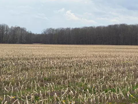 0 Forman Rd, Austinburg, OH 44010