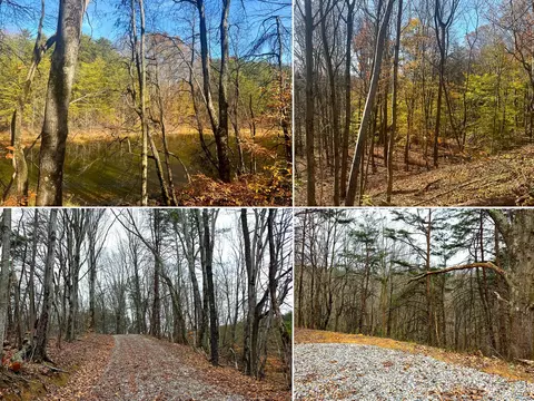 830 Nibert Road Apt Rd #(PONDS POPLAR RIDGE TRACT 3), Gallipolis, OH 45631