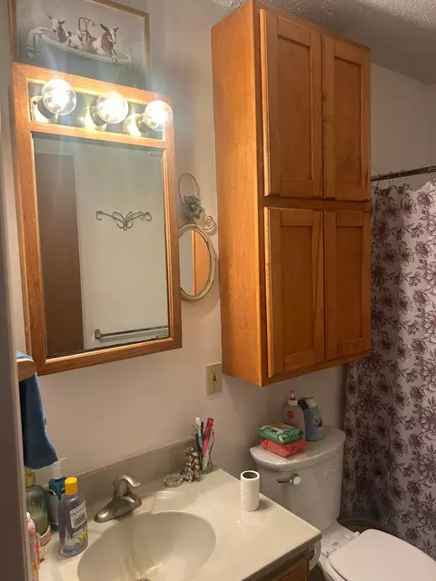 Bath - 305 N Elm St, Prospect, OH 43342 photo 3 of 3