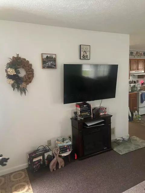 Living - 305 N Elm St, Prospect, OH 43342 photo 2 of 3