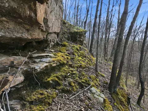 0 Roberts Rd, Jackson, OH 45640 photo 11