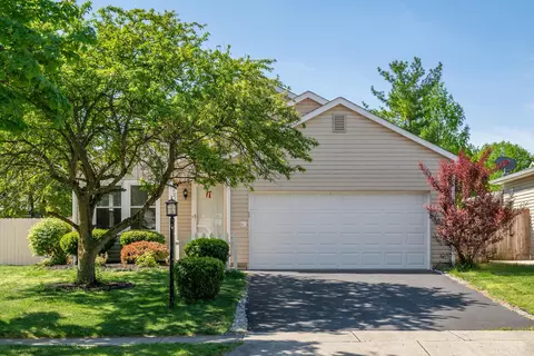 2295 Fernwood Ave, Grove City, OH 43123
