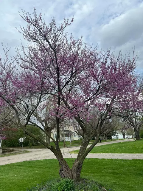 Other - 321 State St, Edison, OH 43320 photo 4 of 10