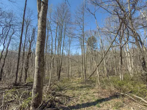 0 Cox Rd, Logan, OH 43138 photo 19