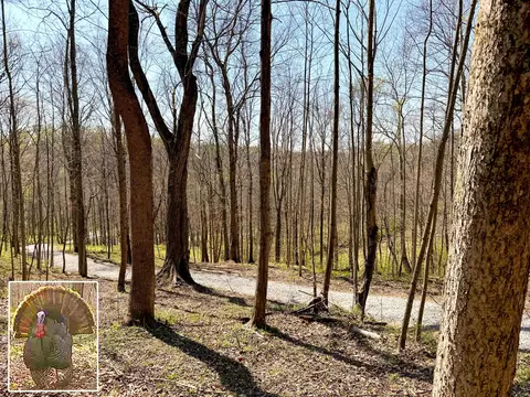 0 Little Kyger Road Apt Rd #(LITTLE KYGER TRACT 3), Cheshire, OH 45620