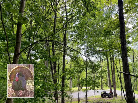 0 Little Kyger Road Apt Rd #(LITTLE KYGER TRACT 2), Cheshire, OH 45620