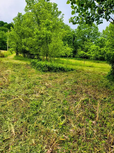 0 Reed Rd, Logan, OH 43138 photo 8