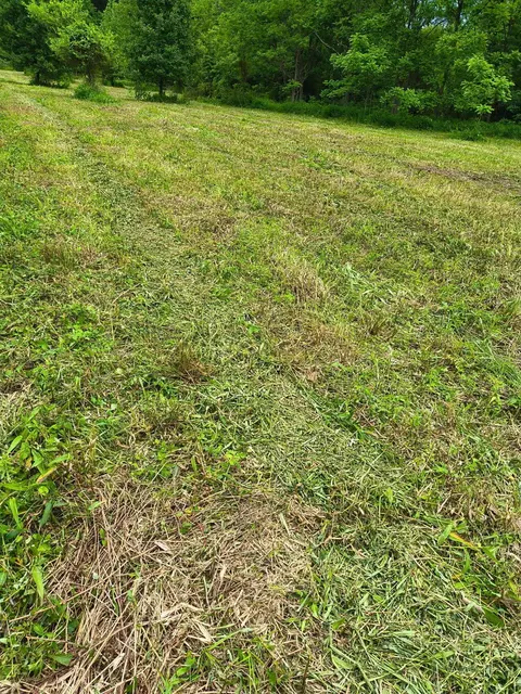 0 Reed Rd, Logan, OH 43138 photo 7