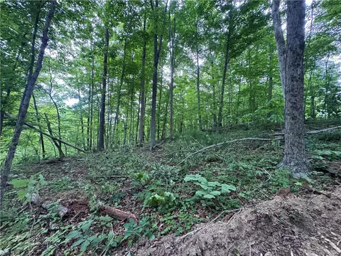 10 Walker Hill Rd #10.11, Stockport, OH 43787