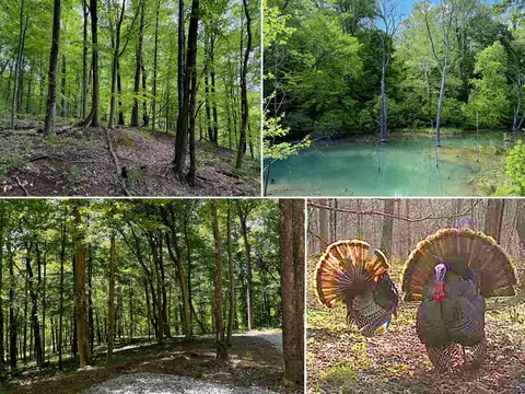 0 Little Kyger Road Apt Rd #(LITTLE KYGER TRACT 4), Cheshire, OH 45620
