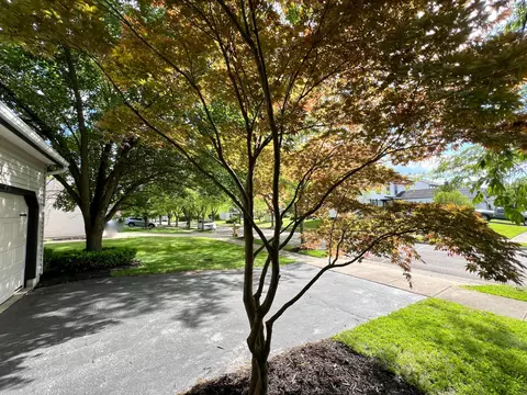 160 Kettering Bnd, Delaware, OH 43015 photo 48