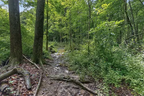Other - 7207 Coonpath Rd NW, Carroll, OH 43112 photo 29 of 29