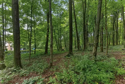 Exterior - 7207 Coonpath Rd NW, Carroll, OH 43112 photo 20 of 25