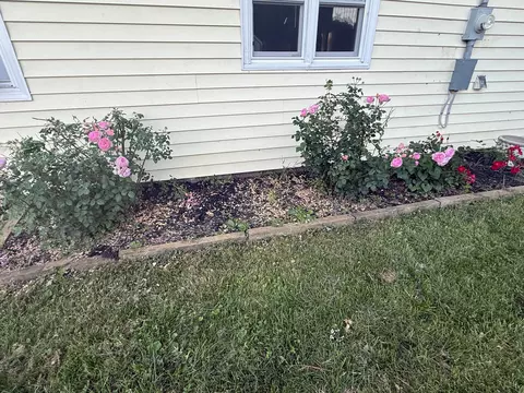 Exterior - 207 E Mill St, Circleville, OH 43113 photo 9 of 13