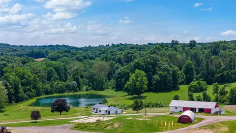 2428 Applegate Rd, Lucas, OH 44843 photo 97