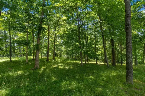 Exterior - 770 Standpipe Rd, Jackson, OH 45640 photo 19 of 48