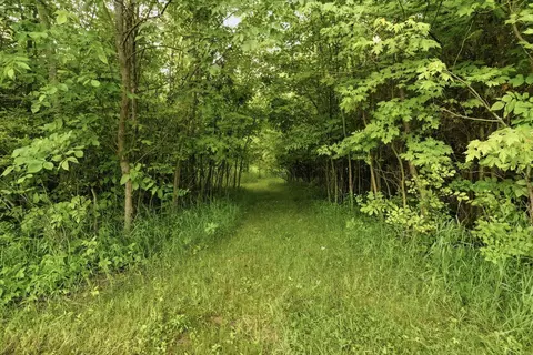 Other - 7020 Scioto Rd, Dublin, OH 43017 photo 47 of 52