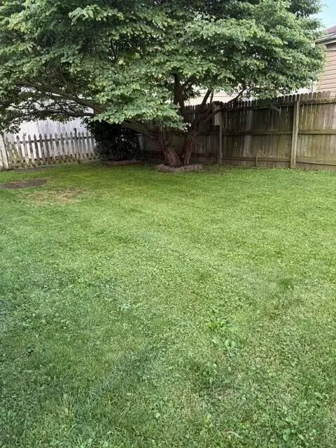 179 Tully St, Marion, OH 43302 photo 10