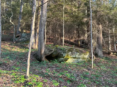 24639 State Route 180, Rockbridge, OH 43149