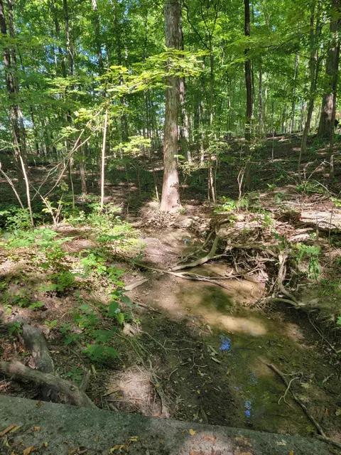 6152 Jaycox Rd, Galena, OH 43021 photo 4