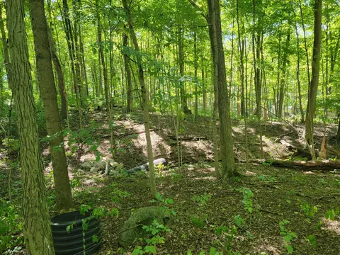 6152 Jaycox Rd, Galena, OH 43021 photo 2