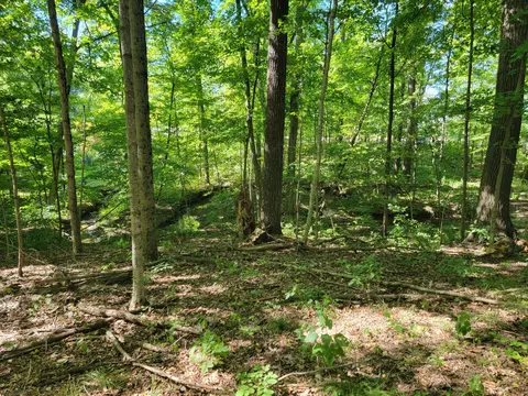 6152 Jaycox Rd, Galena, OH 43021 photo 3