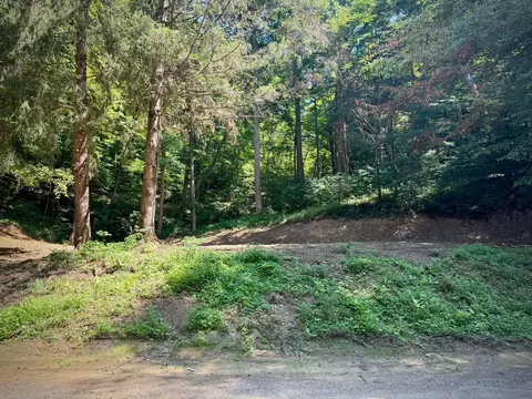 31700 Dixon Mill Rd, Londonderry, OH 45647