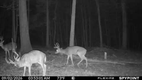 Other - 3333 Blacks Rd SW, Hebron, OH 43025 photo 15 of 15