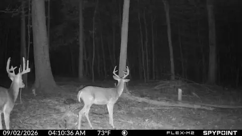 Other - 3333 Blacks Rd SW, Hebron, OH 43025 photo 14 of 15