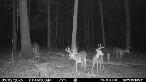 Other - 3333 Blacks Rd SW, Hebron, OH 43025 photo 13 of 15