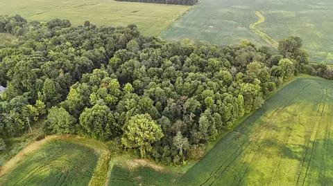 3602 State Route 598 Rd, Crestline, OH 44827 photo 3