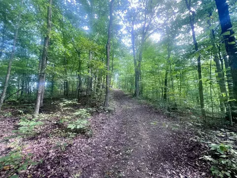 1337 Township Road 172 S, Proctorville, OH 45669