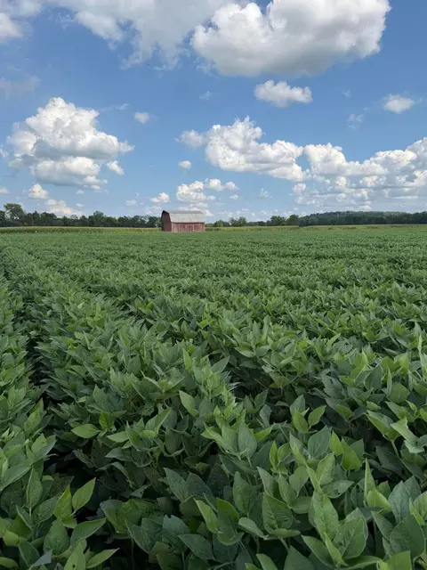 0 Mt Zwingli SE #LOT C, Bremen, OH 43107