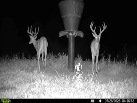 0 Brohard Rd, Ray, OH 45672 photo 5