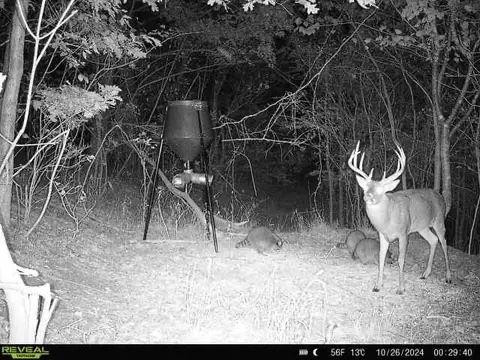 0 Cr E Side Hysell Run 15 Rd, Pomeroy, OH 45769 photo 76
