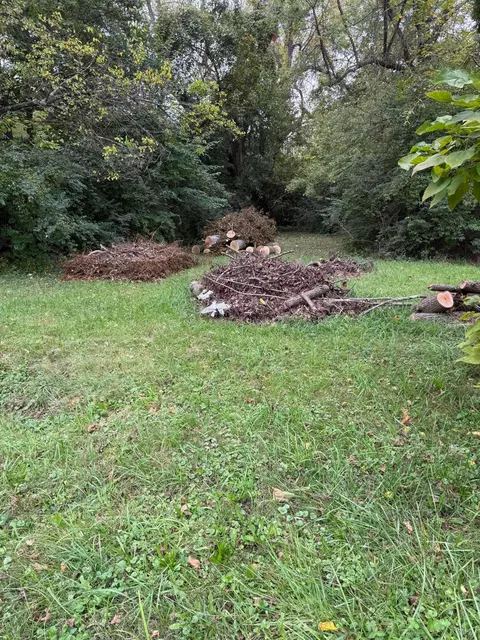 2101 Huron Ave, Springfield, OH 45505 photo 3