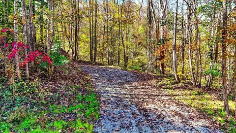 0 E Side Geer Mill Rd, Vinton, OH 45686 photo 36
